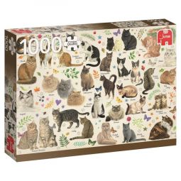 Puzzle 1000 Collection Francien Van Westering Les Chats 