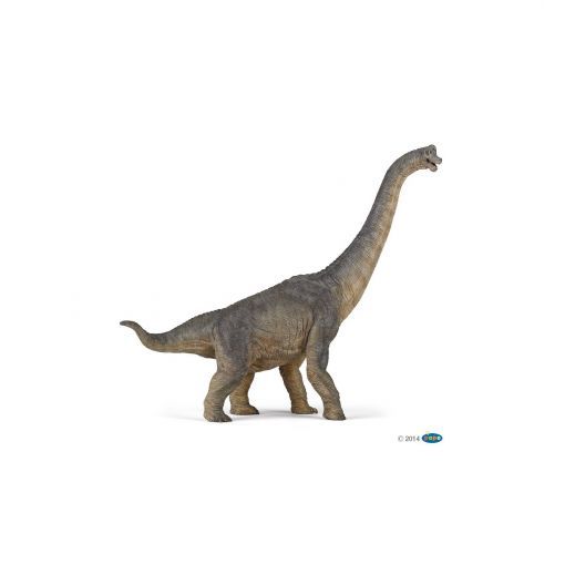 Brachiosaure Papo Papo Ikaipaka jeux & jouets Royan