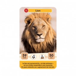 Défis Nature Junior Rois de la Savane Bioviva Ikaipaka jeux &