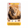 Défis Nature Junior Rois de la Savane Bioviva Ikaipaka jeux &
