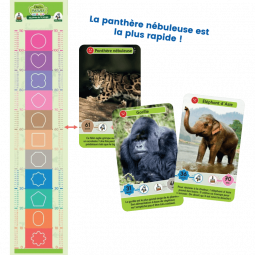 Défis Nature Junior Mystères de la Jungle Bioviva Ikaipaka jeux