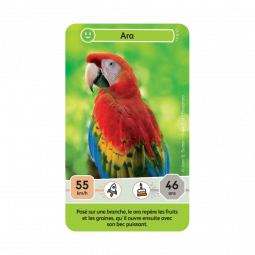 Défis Nature Junior Mystères de la Jungle Bioviva Ikaipaka jeux