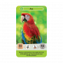 Défis Nature Junior Mystères de la Jungle Bioviva Ikaipaka jeux