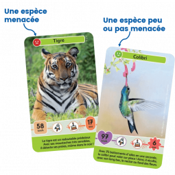 Défis Nature Junior Mystères de la Jungle Bioviva Ikaipaka jeux