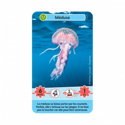 Défis Nature Junior Merveilles de la mer Bioviva Ikaipaka jeux