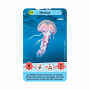 Défis Nature Junior Merveilles de la mer Bioviva Ikaipaka jeux