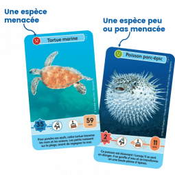 Défis Nature Junior Merveilles de la mer Bioviva Ikaipaka jeux