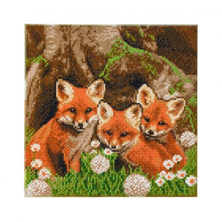 Crystal Art Tableau Renardeaux Oz Ikaipaka jeux & jouets Royan