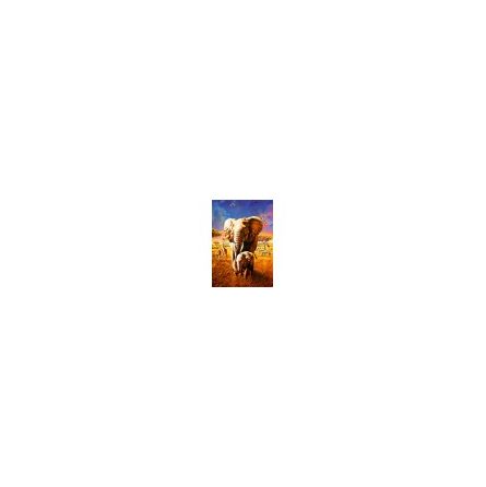 Puzzle 1000p Elephant BlueBird Ikaipaka jeux & jouets Royan