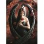 Puzzle 1000p Anne Stokes - Angel Rose BlueBird Ikaipaka jeux &