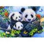 Puzzle 100p Panda Family BlueBird Ikaipaka jeux & jouets Royan