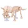 Nanoblock Triceratops Skeleton - IkaIpaka Royan