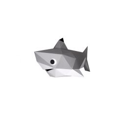 Les Babies Requin - IkaIpaka Royan