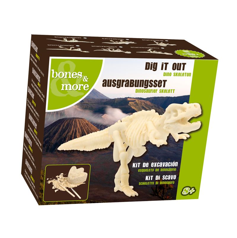 Squelette de Mini dinosaure à gratter  Ikaipaka jeux & jouets