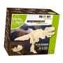 Squelette de Mini dinosaure à gratter  Ikaipaka jeux & jouets