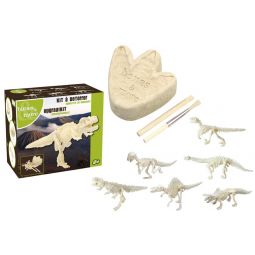 Squelette de Mini dinosaure à gratter  Ikaipaka jeux & jouets