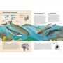 Atlas de la Biodiversité: Mers et Océans Sassi Ikaipaka jeux &