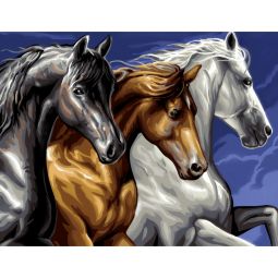 Peinture par numéro Cavalcade Oz Ikaipaka jeux & jouets Royan