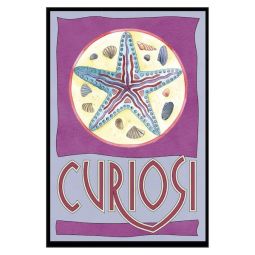 Puzzle 33p Mini Etoile de mer Curiosi Curiosi Ikaipaka jeux &