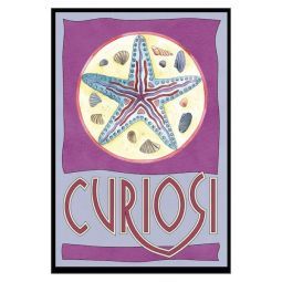 Puzzle 33p Mini Etoile de mer Curiosi Curiosi Ikaipaka jeux &