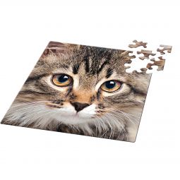 Puzzle Q 66p Chat Curiosi Curiosi Ikaipaka jeux & jouets Royan