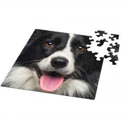 Puzzle Q 66p Chien Curiosi Curiosi Ikaipaka jeux & jouets Royan