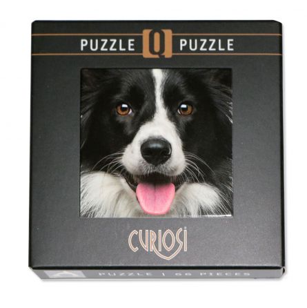 Puzzle Q 66p Chien Curiosi Curiosi Ikaipaka jeux & jouets Royan