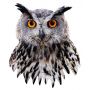 Puzzle 300p I AM mini Hibou  Ikaipaka jeux & jouets Royan