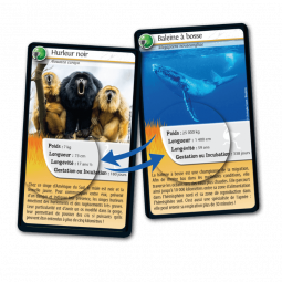 Défis Nature Records des animaux Bioviva Ikaipaka jeux & jouets