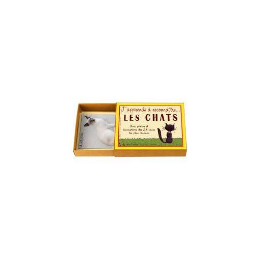 J'apprends à reconnaitre les Chats marc vidal Ikaipaka jeux &
