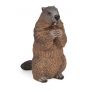 Marmotte Papo - IkaIpaka Royan
