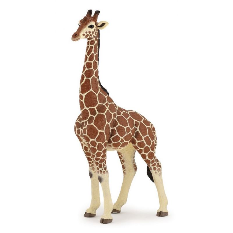 Girafe mâle PAPO Papo Ikaipaka jeux & jouets Royan
