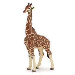 Girafe mâle PAPO Papo Ikaipaka jeux & jouets Royan