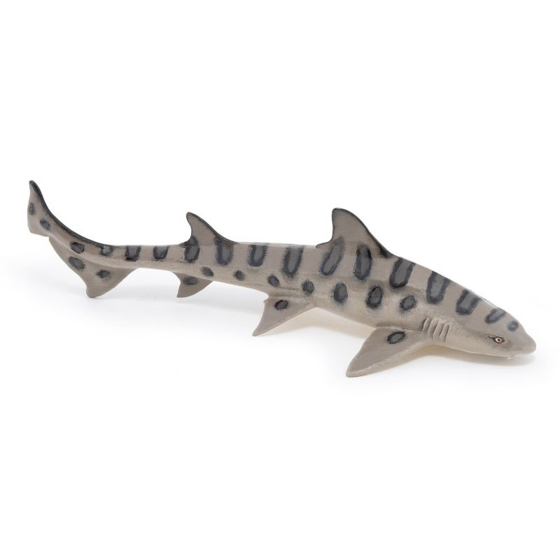 Requin Léopard PAPO - IkaIpaka Royan