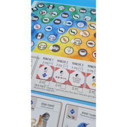 Wingspan extension Asie Matagot Ikaipaka jeux & jouets Royan