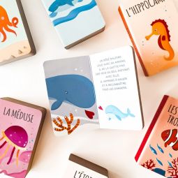 Livre Ma petite bibliothèque La Mer Sassi Ikaipaka jeux &