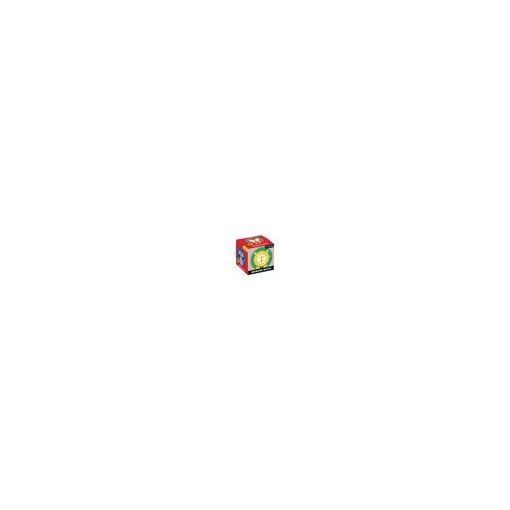 Memory match game geometric animals Bertoy Ikaipaka jeux &