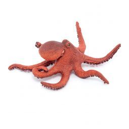 Petite Pieuvre Papo Papo Ikaipaka jeux & jouets Royan