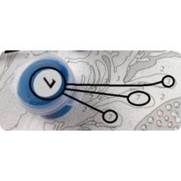 Peinture aux numéros Tigre se reposant Pintar Numeros Ikaipaka
