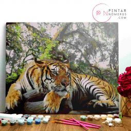 Peinture aux numéros Tigre se reposant Pintar Numeros Ikaipaka