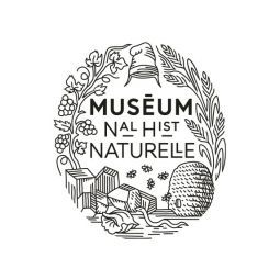 Loto Zoologique de Buffon VILAC Ikaipaka jeux & jouets Royan