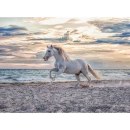 Puzzle 500p Cheval sur la plage Ravensburger Ikaipaka jeux &