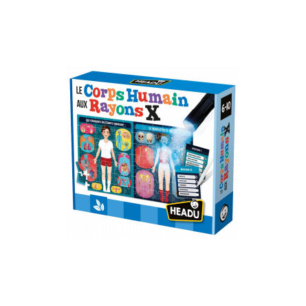 Le Corps Humain Aux Rayons X  Ikaipaka jeux & jouets Royan