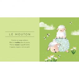 Touche à tout! Les Animaux Sassi Ikaipaka jeux & jouets Royan