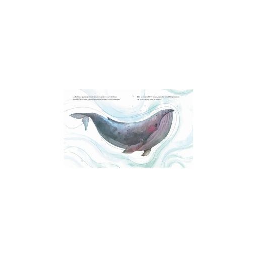 Livre La baleine qui se prenait pour un poisson Sassi Ikaipaka