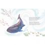 Livre La baleine qui se prenait pour un poisson Sassi Ikaipaka