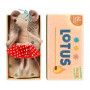 Mousse Big sister in box lotus  Ikaipaka jeux & jouets Royan