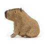 Clyde Capybara Jellycat Ikaipaka jeux & jouets Royan