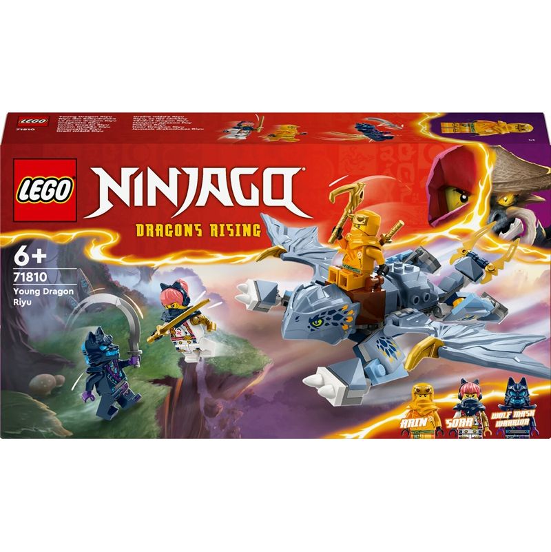 Lego Ninjago Le Jeune Dragon Riyu lego Ikaipaka jeux & jouets