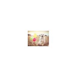 Puzzle 500 p - Jour de fête Ravensburger Ikaipaka jeux & jouets
